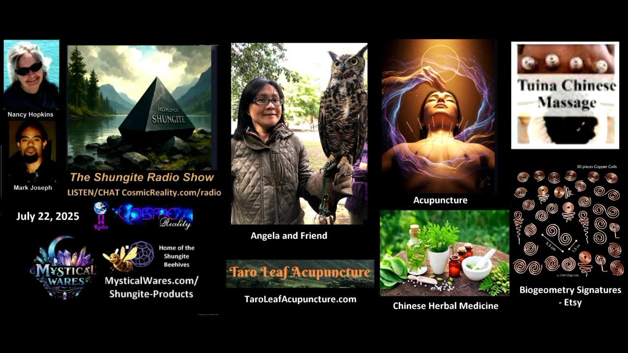 SHUNGITE REALITY 7/22/25 - Angela at Taro Leaf Acupuncture