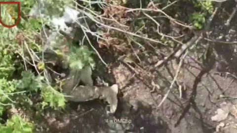 War in ukraine