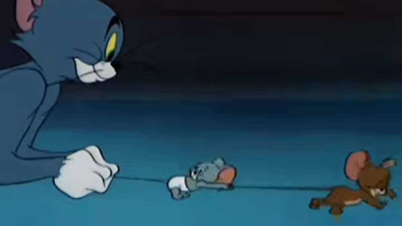 Tom funny 😂🤣