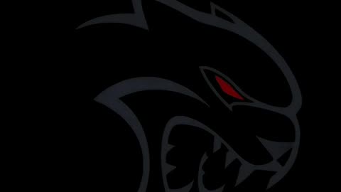 , #carlifestyle, , #닷지챌린저, #차좋아하는남자, #korean, #srt, #hellcat, #america, #dodgehellcat