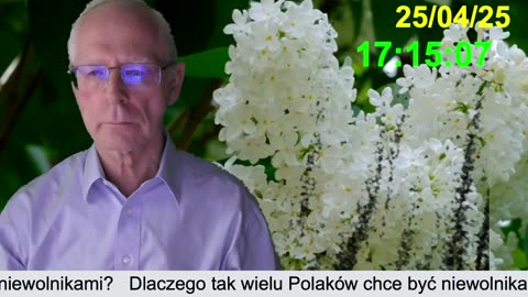 Przedwyborczy kocioł
