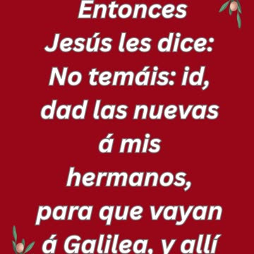 N’ayez pas peur Mateo 28:10 #shorts #shortvideo #youtube #youtubeshorts #ytshorts #yt #love #christ