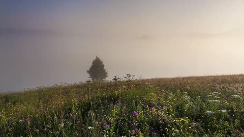 The landscape in the mountains is fresh and natural, making people feel at ease.