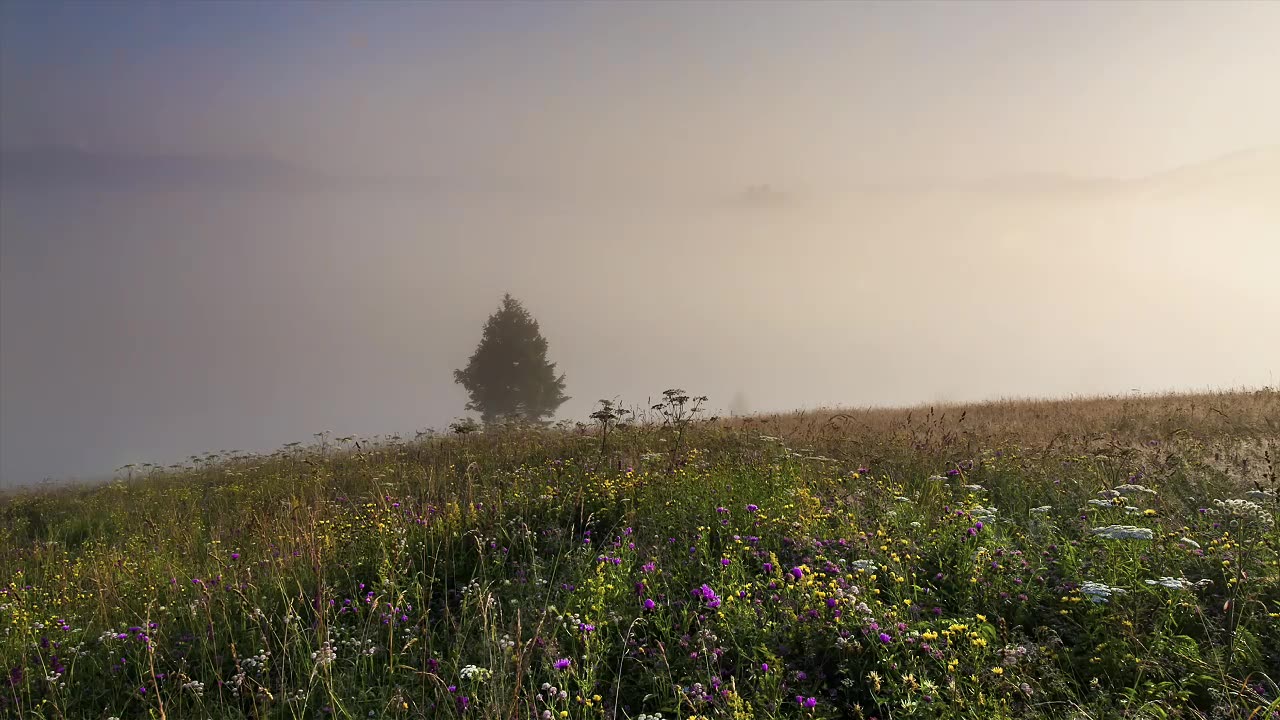 The landscape in the mountains is fresh and natural, making people feel at ease.