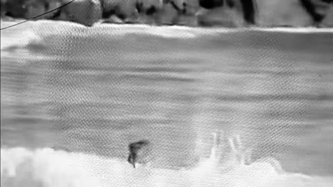 Sea lion chases surfers (California)