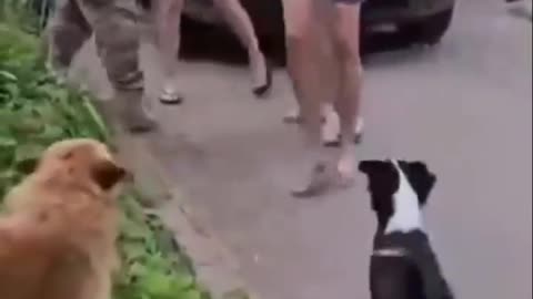 🛡️🇺🇦 Ukraine Russia War | Women Rescue Man from Busification Threat | RCF