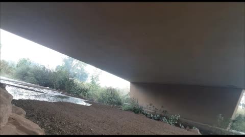 Trippin On A 2.5 Foot Tall Cactus Of San Pedro (fairly Impressed)