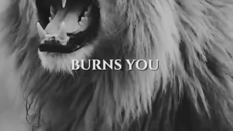 Always Remember Pain is Your Teacher #shorts #successquotes #motivationalquotes