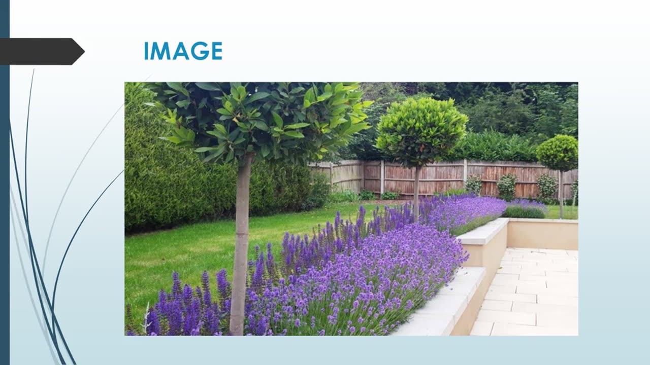 Looking for the best Landscape Design in Oaklands