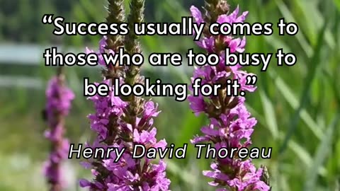 Too Busy