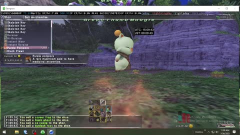 Playing Final Fantasy XI Online