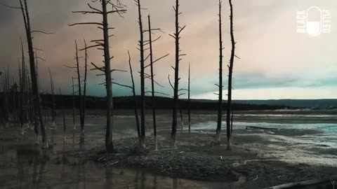 Land of my Ancestors (Devon Stack; Blackpilled)