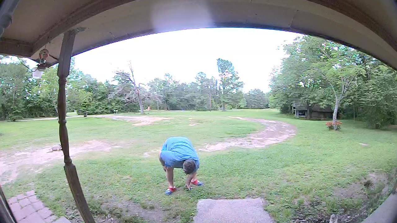 Man Falls Trying to Knock Down Wasp Nest