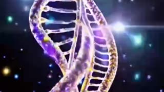 Your DNA is a source of memory