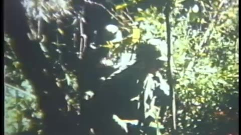 1967 ELECTIONS, BAN... - 1967 ELECTIONS, BAN ME THOUT, SOUTH VIETNAM ; OPERATION COLB - 111-lc-51887
