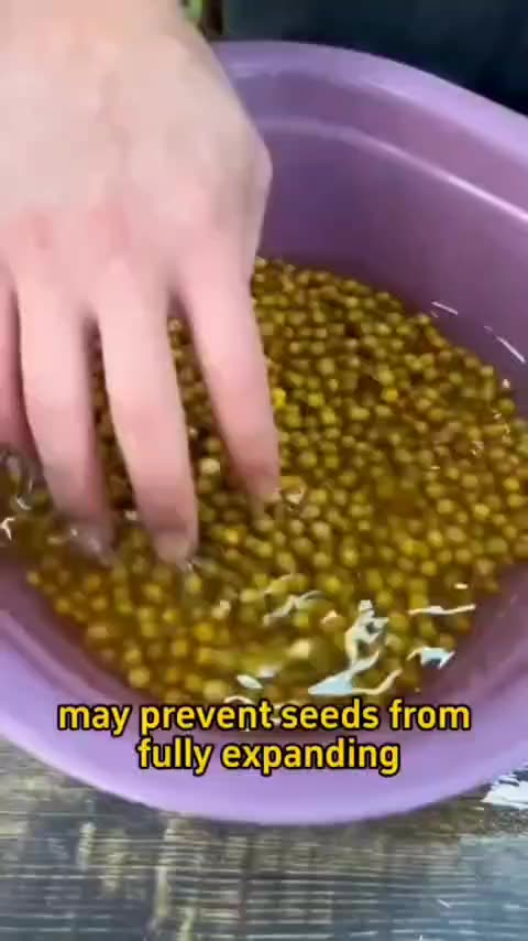 How long to soak the seeds for them to germinate nicely...