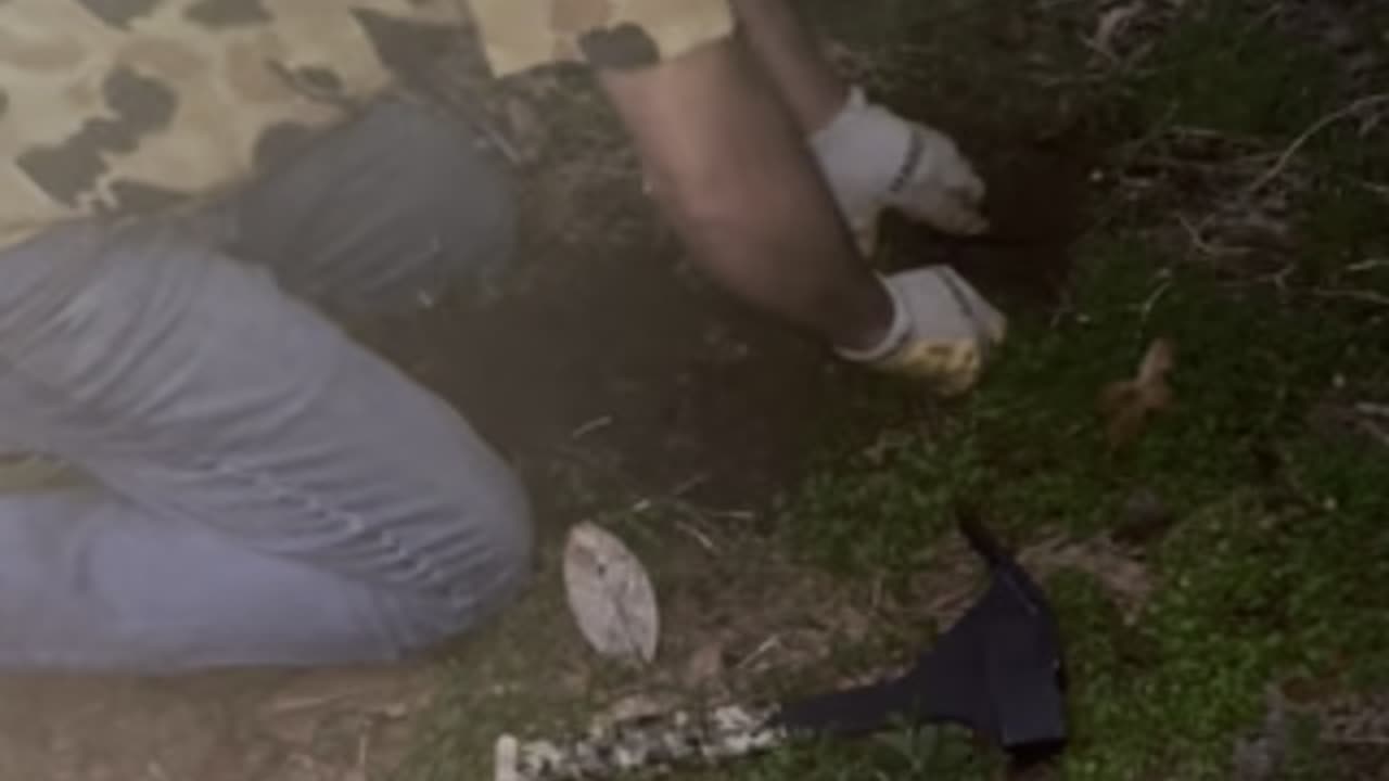 Savell’s trap bedding tips