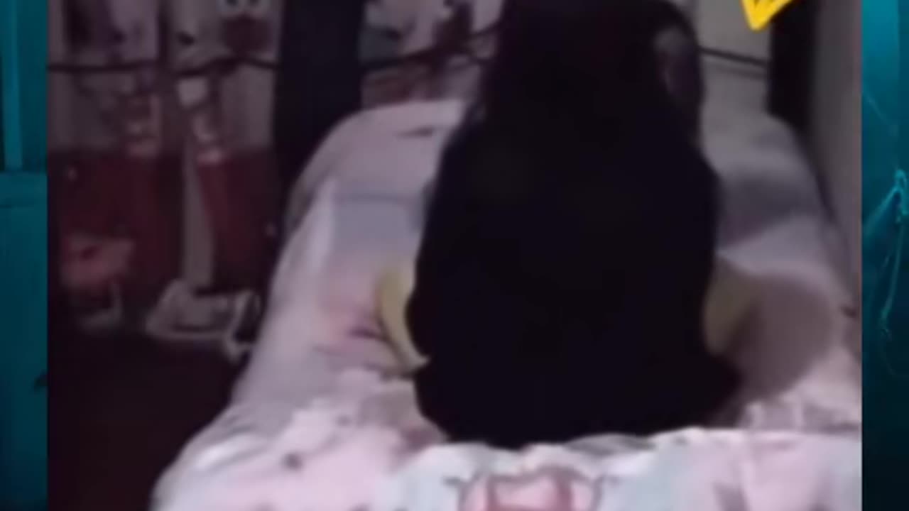 👥😨 Who Is Amy's Friend? Unseen Presence or Something Worse? | TheHauntingHour