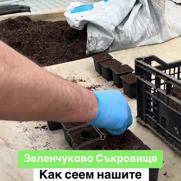 ФЕРМА ЗЕЛЕНЧУКОВО СЪКРОВИЩЕ