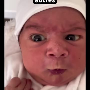 Try Not to Laugh Challenge