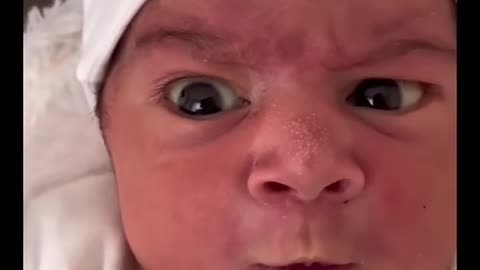 Try Not to Laugh Challenge