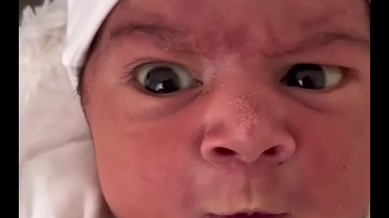 Try Not to Laugh Challenge