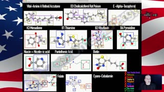 "The 12 Vital-Amines of Weather Warfare" with AlphaOmegaEnergy