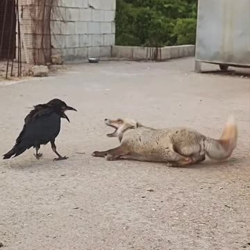 Just a little bite 😊