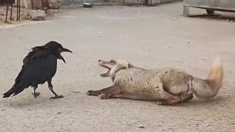 Just a little bite 😊