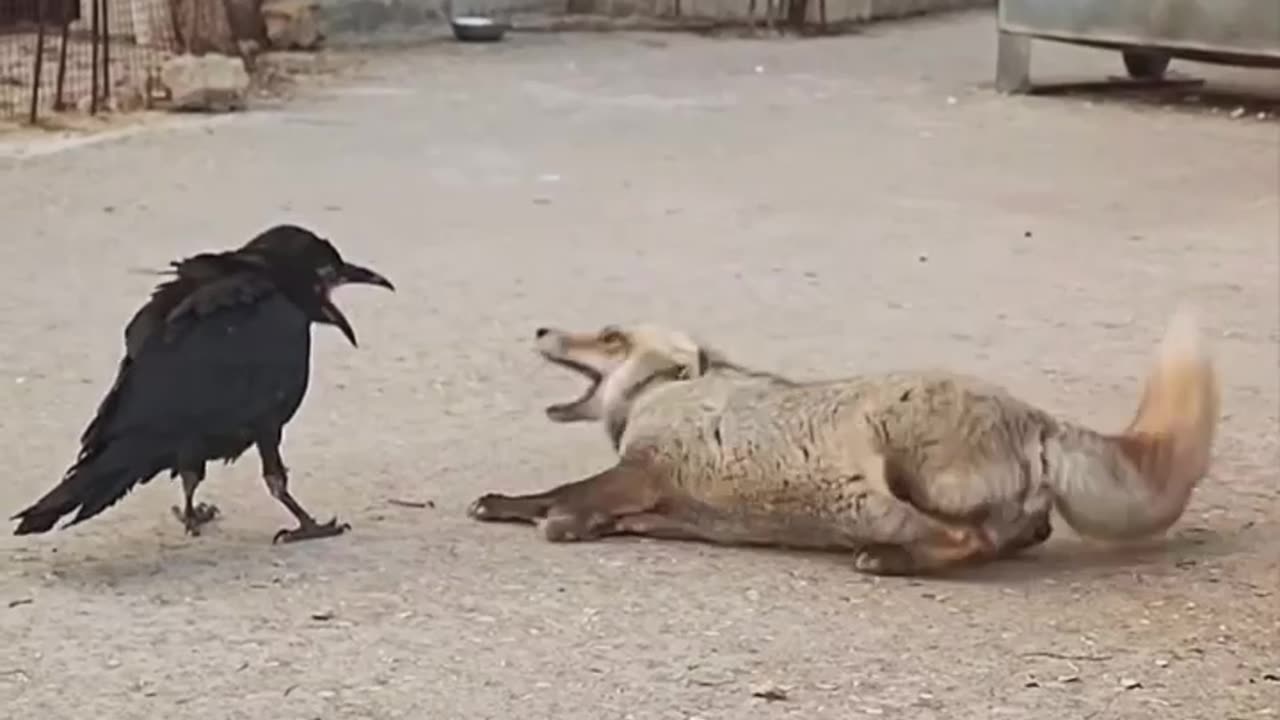 Just a little bite 😊