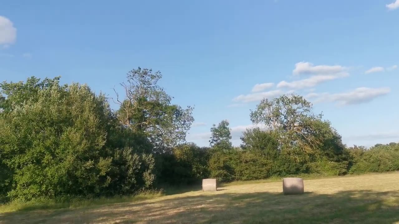 You WILL 666 Be Terminated 5