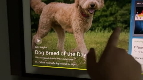 Amazon Echo Show 21 Review