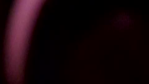 The last recording of the kodak Duaflex