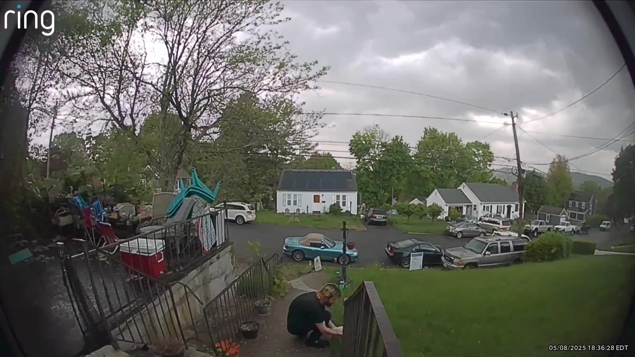 #TheAmazingFerrets🦝