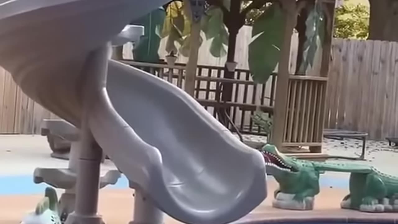 Try not to laugh cat video PT 08