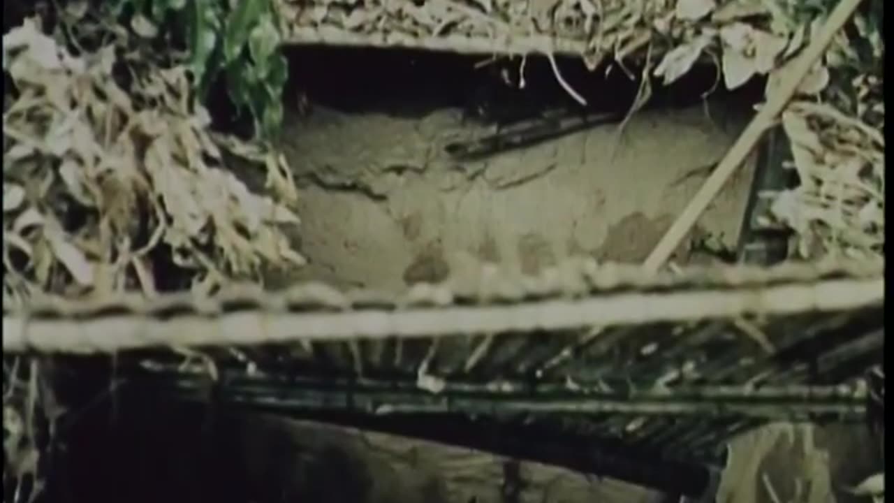 The Fight For Vietnam - The Big Picture