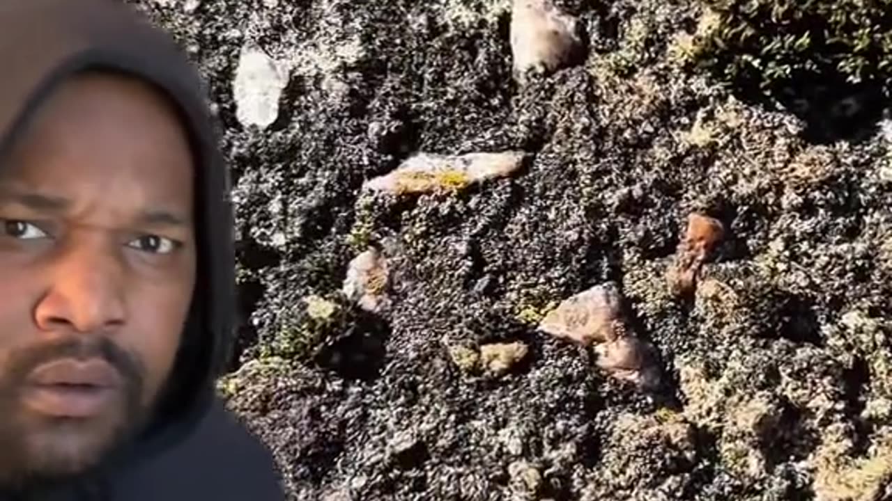 True Story - Hidden Underground Castle