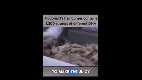Mcdonald's hamburger contains 1,300 strands of different DNA. 🤮🤦‍♂️🤬⚠️🥵