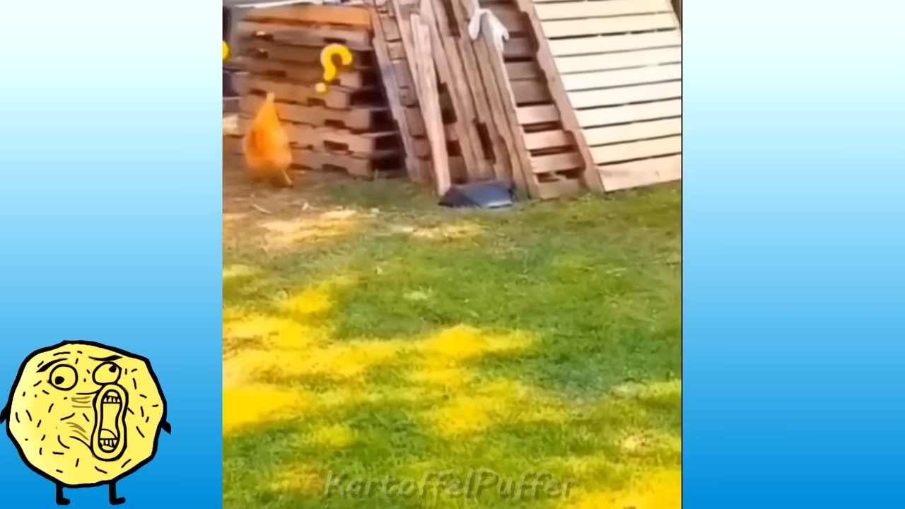 ICH WETTE, DU SCHAFFST ES NICHT! 😂 (Versuche nicht zu lachen – 99% scheitern!)