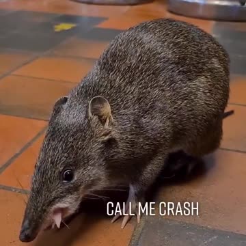 Welcome to Australia 🇦🇺