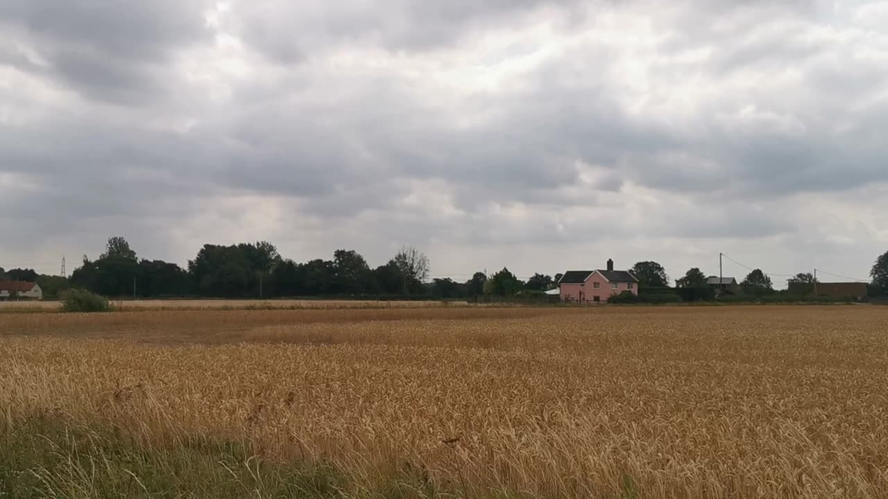 No Sandringham Serial Killer Black Wizard Terrorist Diss Shooter Here Google Johnny Botwright 4