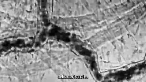FUTURE EXCESSORIES - The Documentary (Posthumanity, the Myth of Progress Democracy) (Dutch/NL Subs)