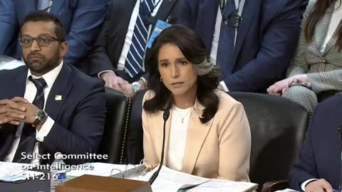 Senator Bewildered As Gabbard Explains Why 'Climate Change' Omitted In 2025 Threat Report