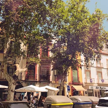 ¡IUIC ESTÁ EN ESPAÑA!