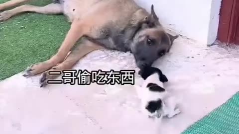 A mother’s love for her child is boundless