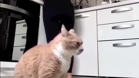 💔😂 When You're So Hungry You'll Try Anything! Poor Thing | FunFM