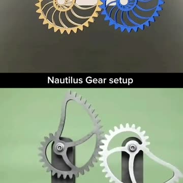 Nautilus gear