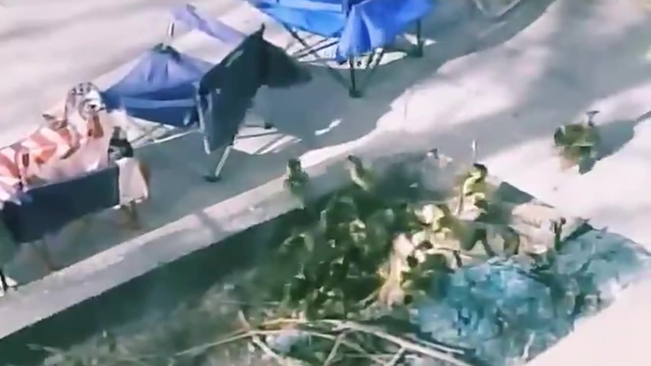 Little did this banker know, he was about to become a worldwide hero