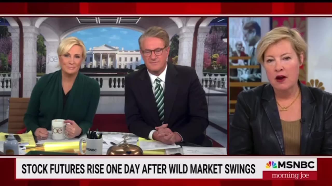 Morning Joe about the market. "Dead Cat Bounce"