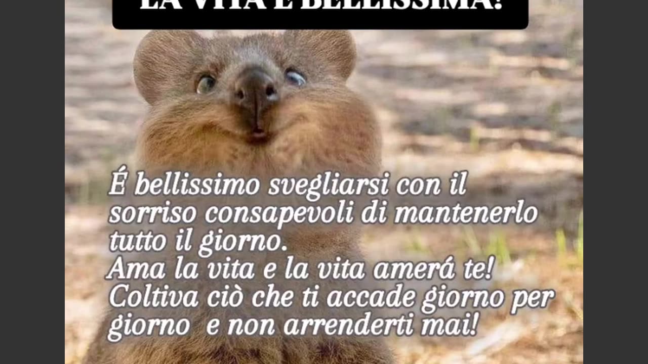 LIFE IS BEAUTIFUL!